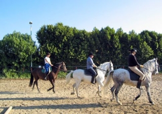  Lezioni di equitazione 